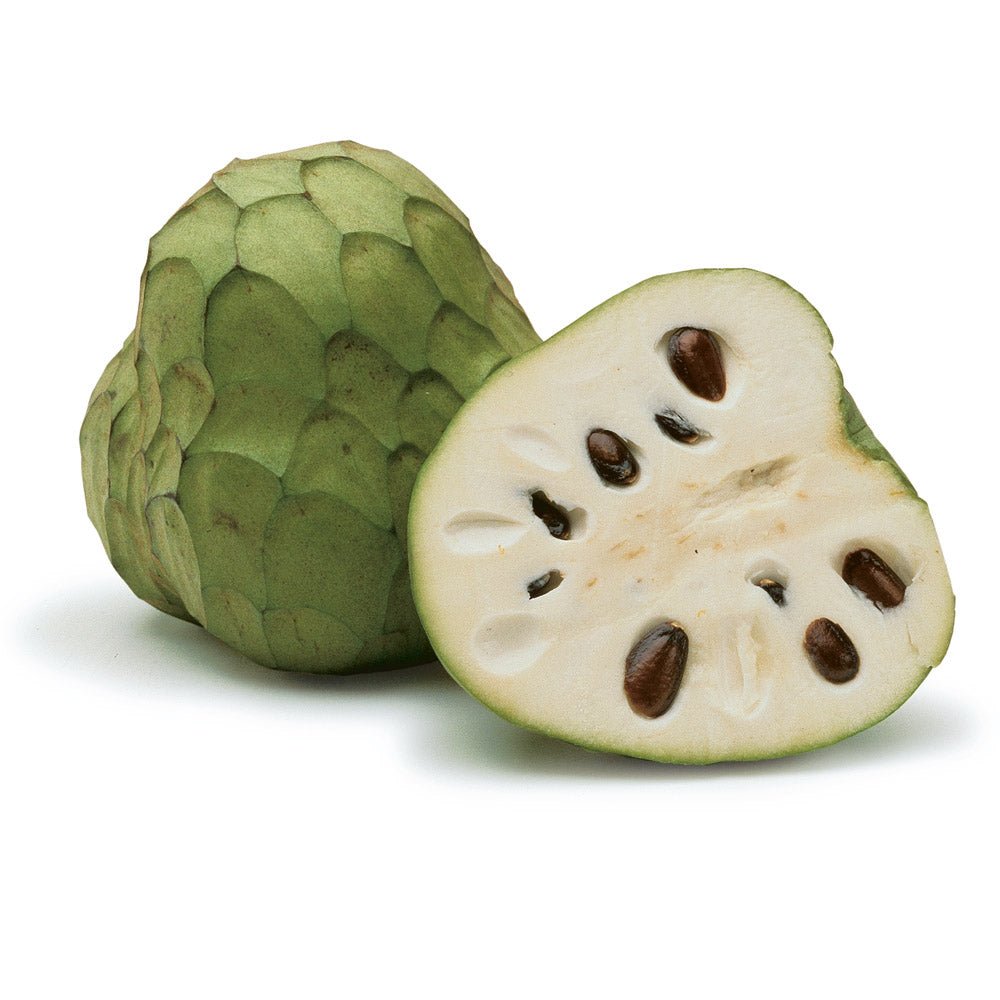 Sensitive Skin Essence - Cherimoya Extract, Gingko Biloba, Squalane. - New Beauty Industry