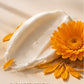 Cream Cleanser – Calendula & Panthenol